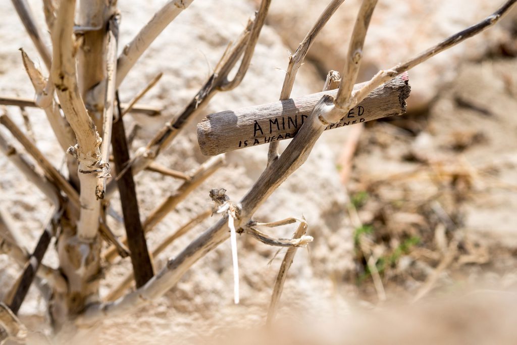 Father and son – never undone