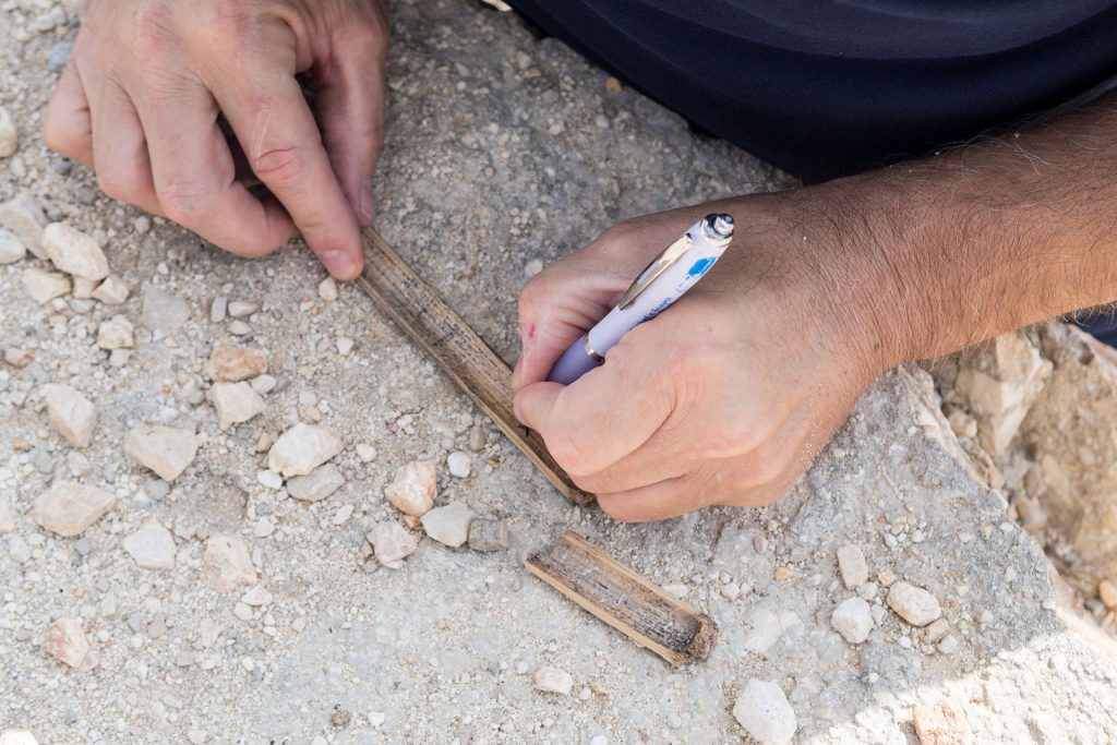 Father and son – never undone