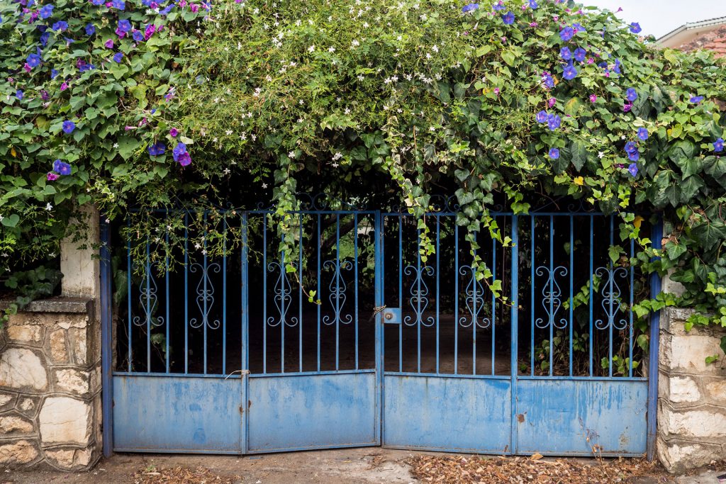 „Jassas“ aus Kefalonia!