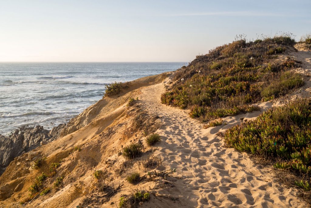 Drei Tage im Alentejo – einmal Glück to go, bitte!
