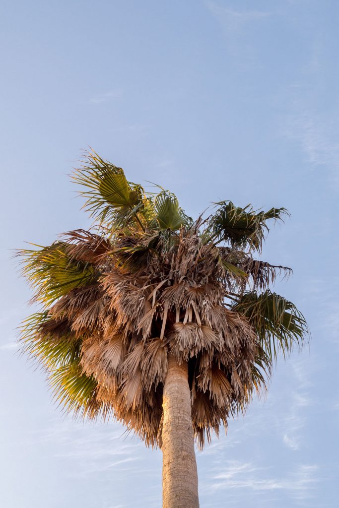 Die Sache mit dem Ende und dem Anfang…