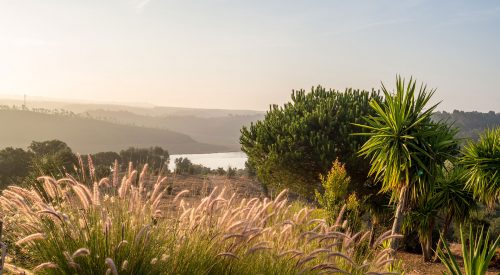 Drei Tage im Alentejo – einmal Glück to go, bitte!
