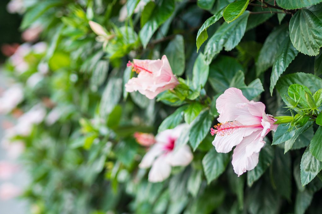 Einmal Urlaub, bitte – gar nicht so einfach…