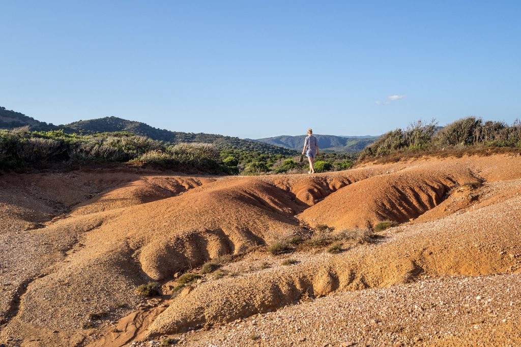 Einmal Urlaub, bitte – gar nicht so einfach…