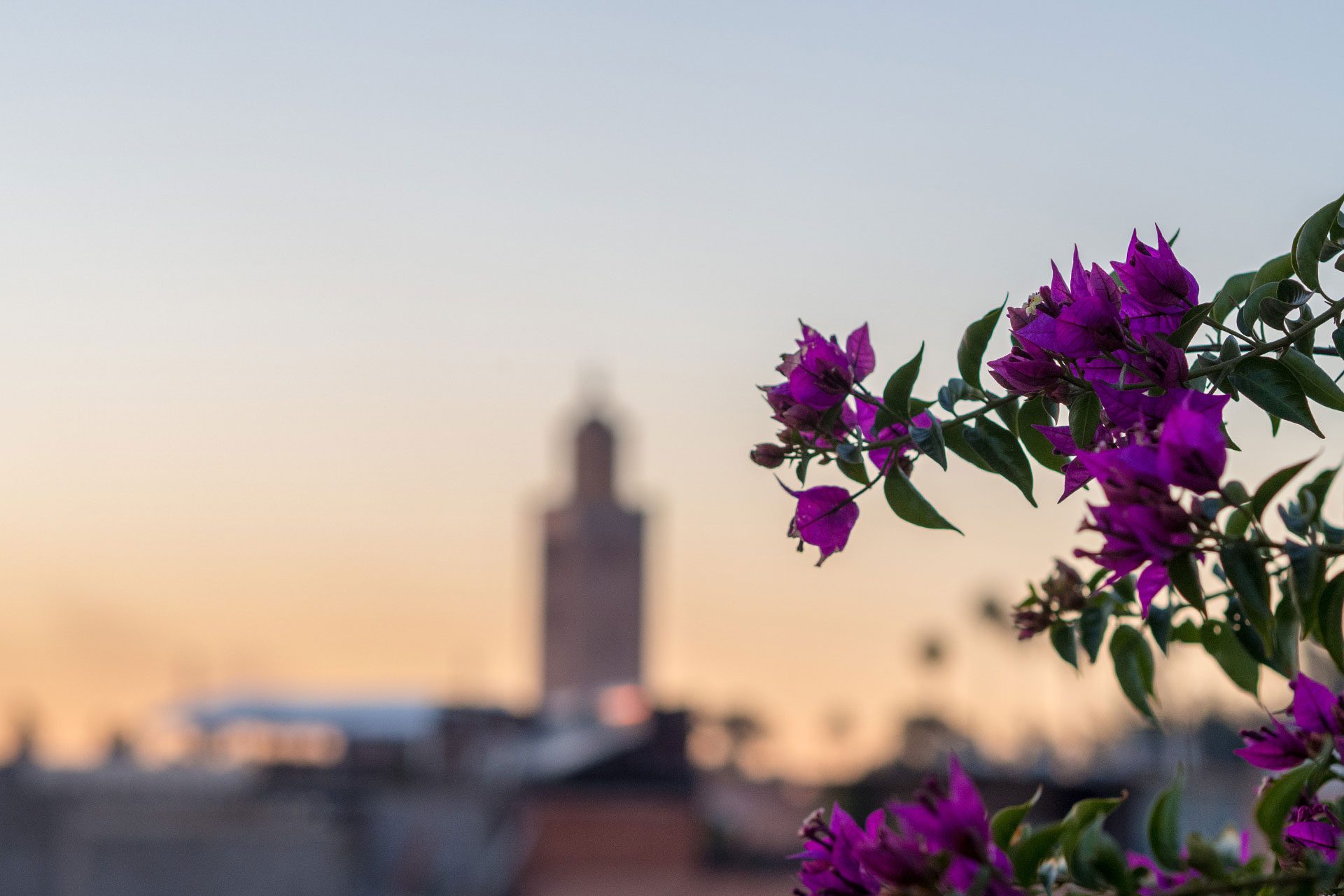 The Good & The Better… Ein Jahresrückblick