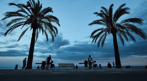 Einmal Eis & Palmen, bitte!