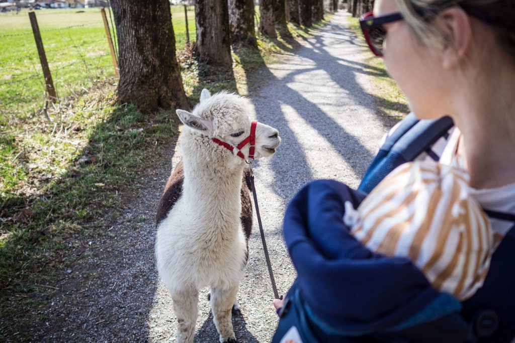 Oh du flauschige Entschleunigung…