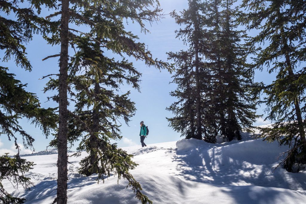 Ab in die Berge, Baby!