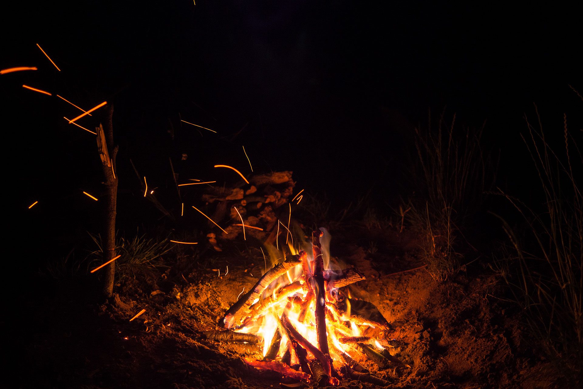 Berlin Bikepacking Vol. 2