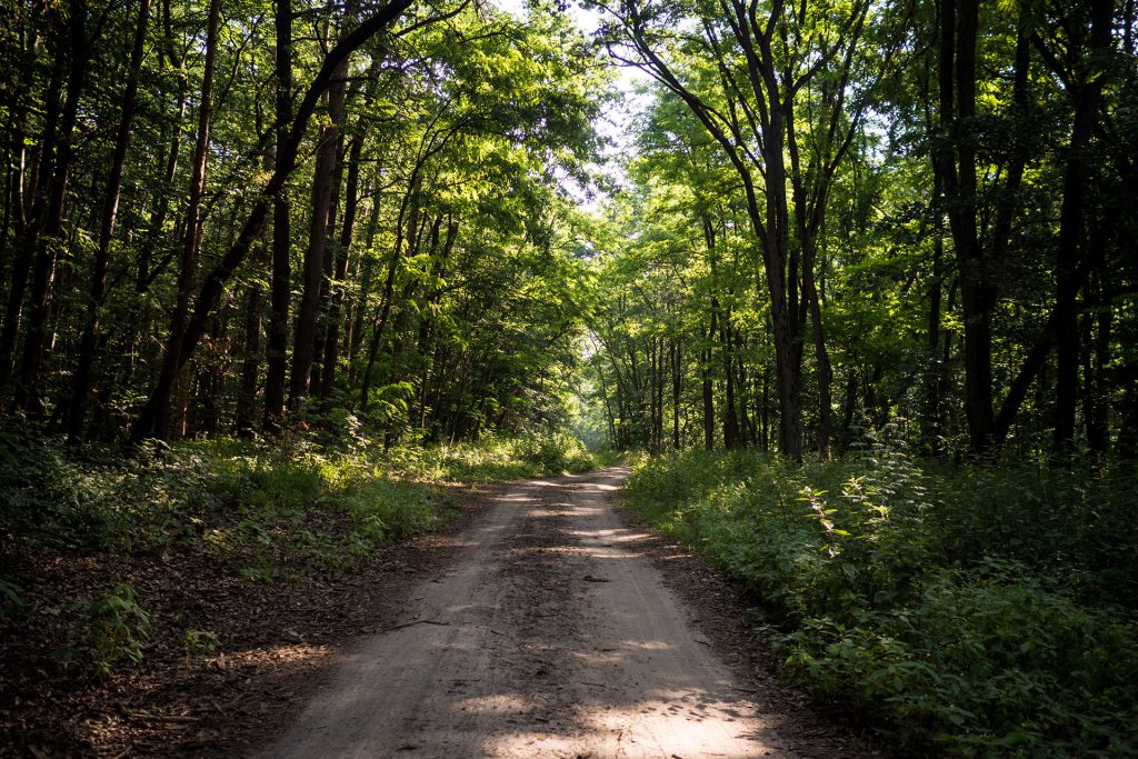 Berlin Bikepacking Vol. 2