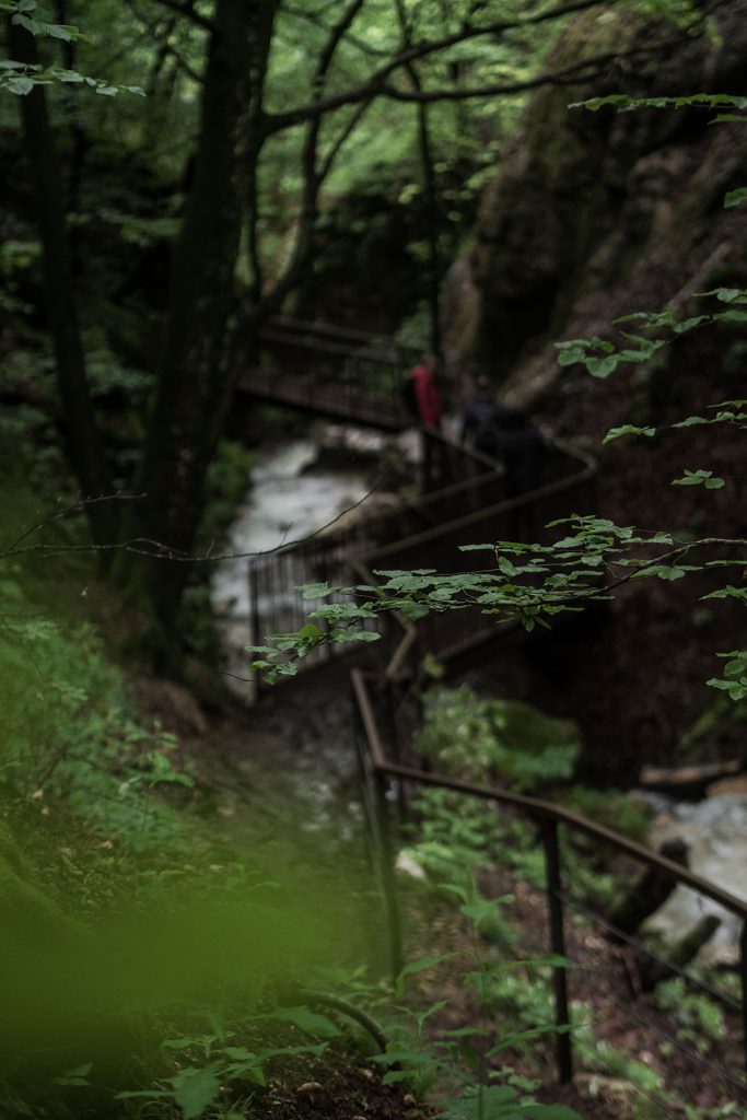 Wasser marsch, in Kaltern