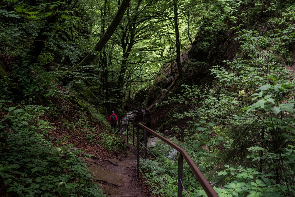Wasser marsch, in Kaltern