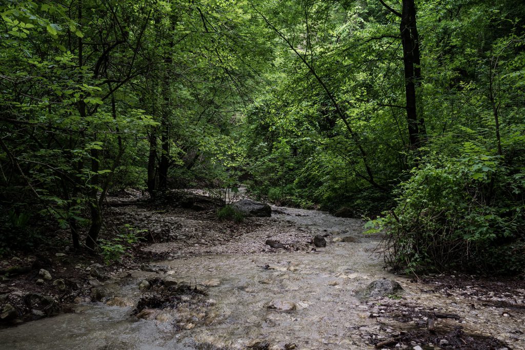 Wasser marsch, in Kaltern