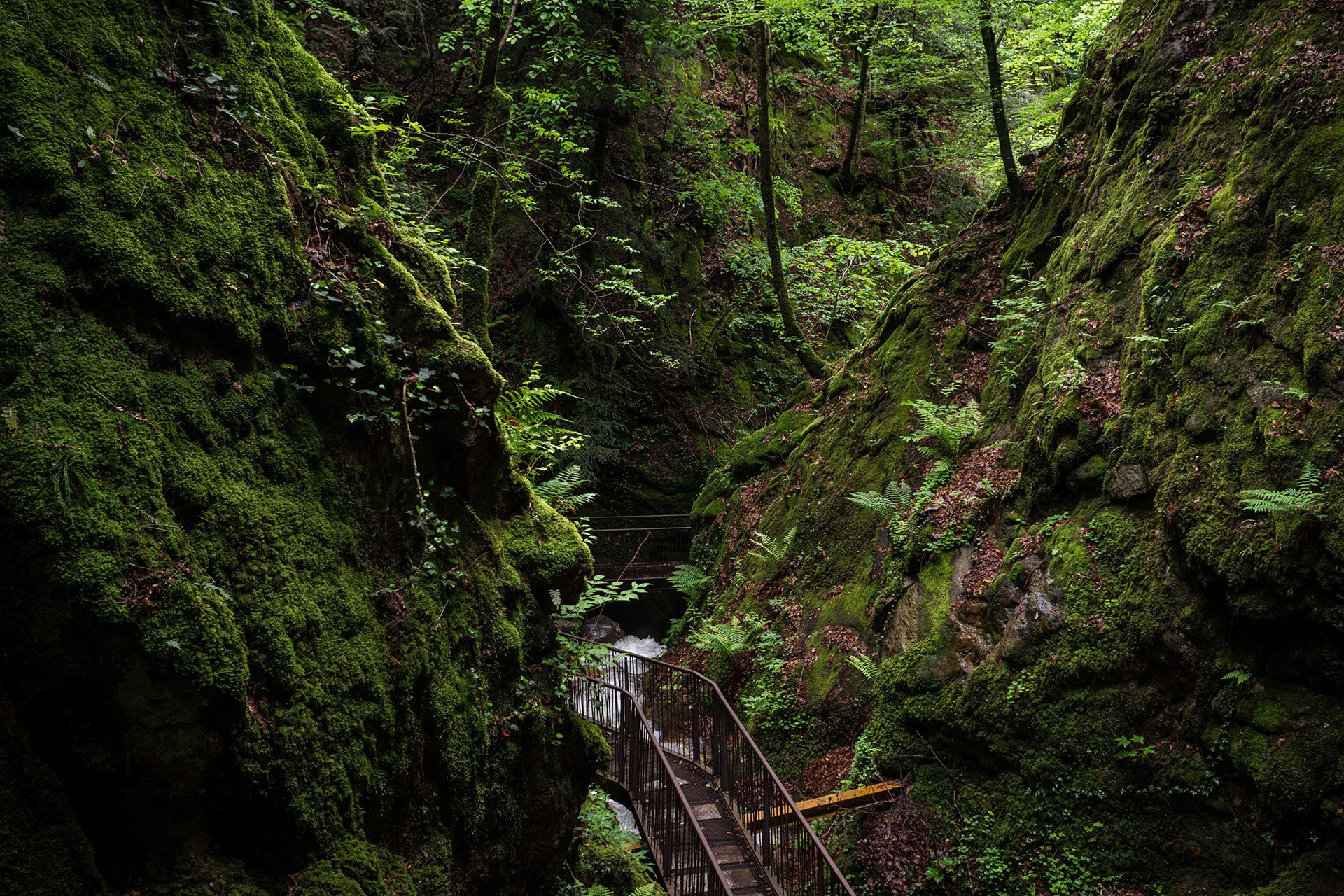 Wasser marsch, in Kaltern