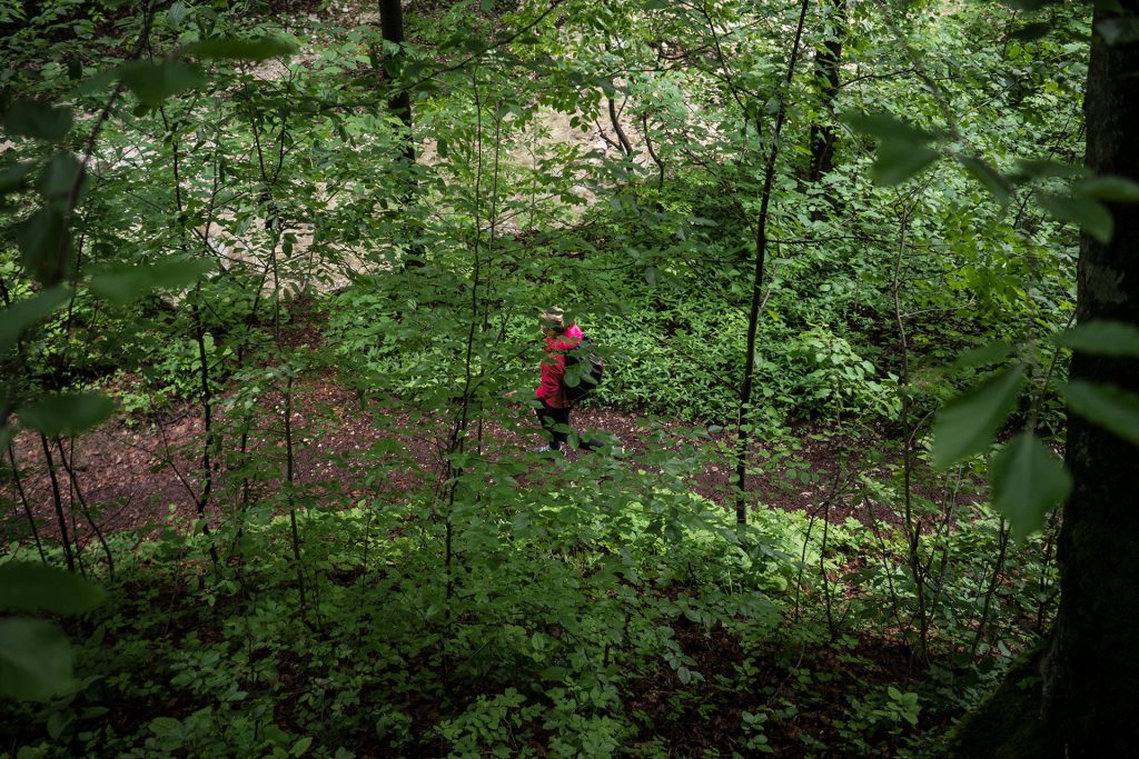 Wasser marsch, in Kaltern