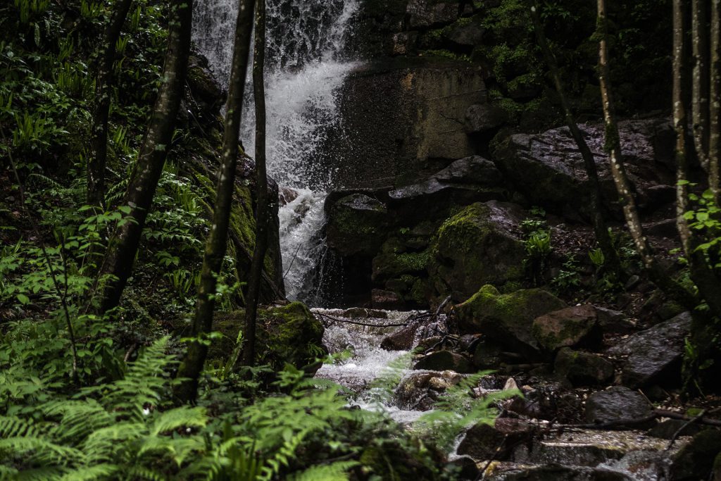Wasser marsch, in Kaltern