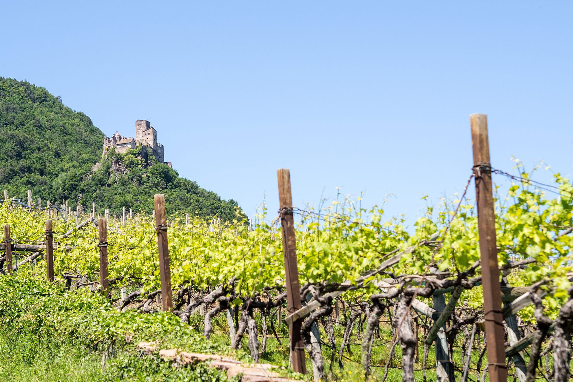 Pack den Kinderwagen ein – zur Sommerfrische nach Südtirol