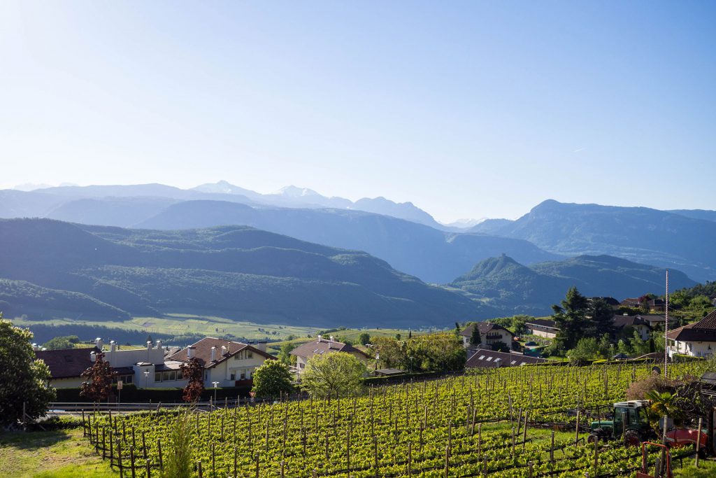Pack den Kinderwagen ein – zur Sommerfrische nach Südtirol