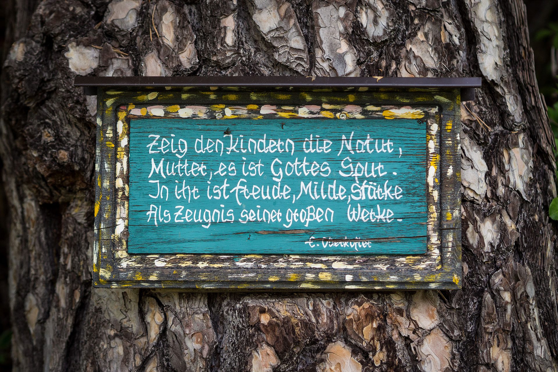 Pack den Kinderwagen ein – zur Sommerfrische nach Südtirol