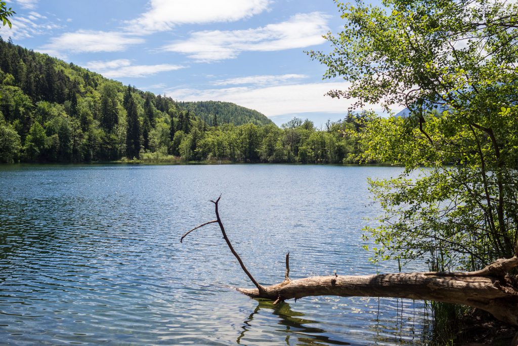 Pack den Kinderwagen ein – zur Sommerfrische nach Südtirol
