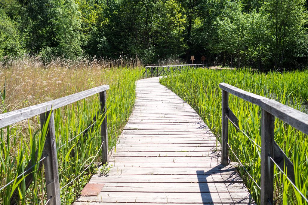 Pack den Kinderwagen ein – zur Sommerfrische nach Südtirol