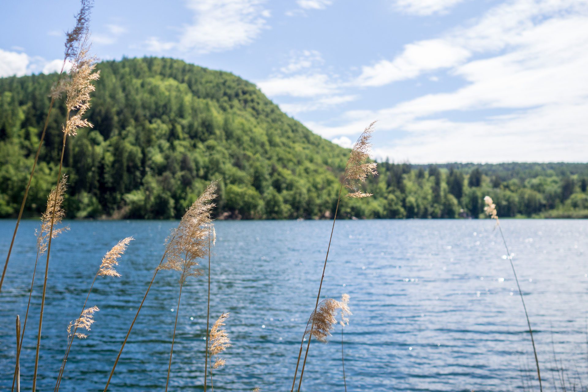 Pack den Kinderwagen ein – zur Sommerfrische nach Südtirol
