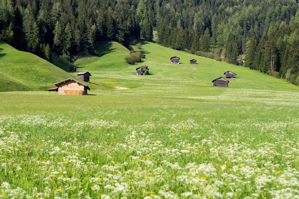 Wo der Wandergeist lebt