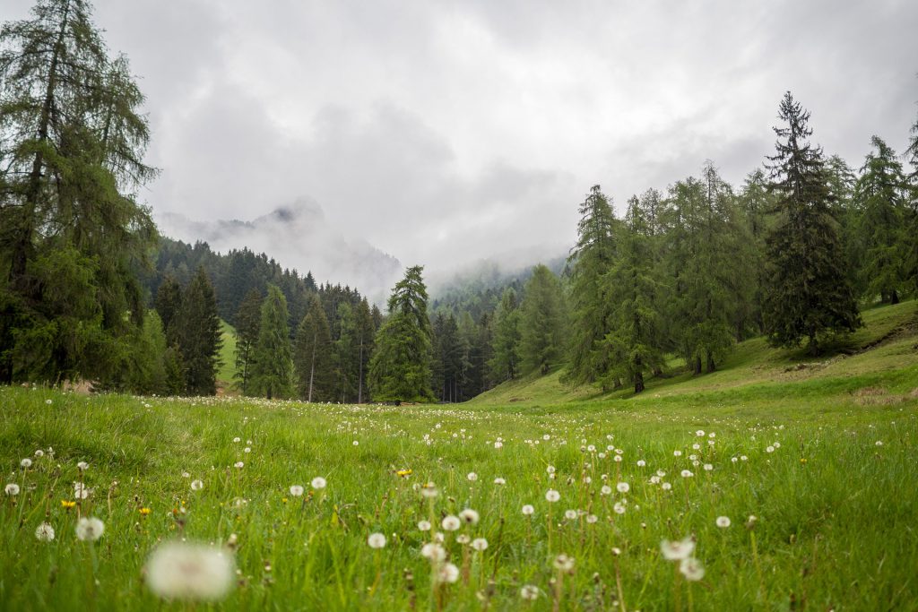 Wo der Wandergeist lebt