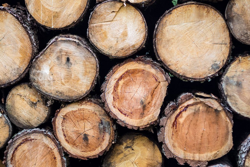 Wo der Wandergeist lebt