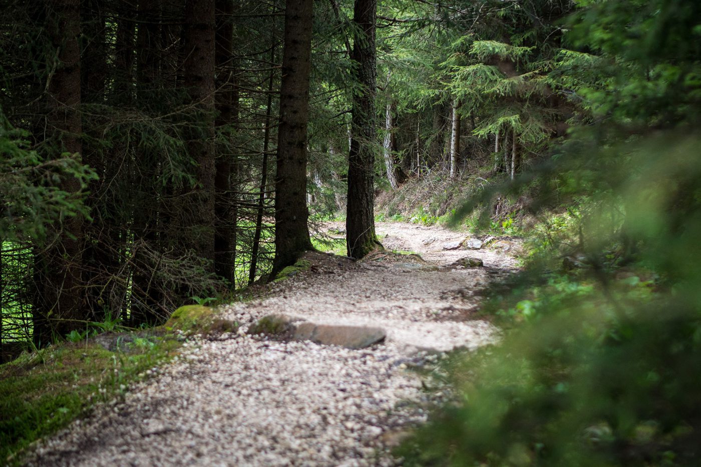 Wo der Wandergeist lebt