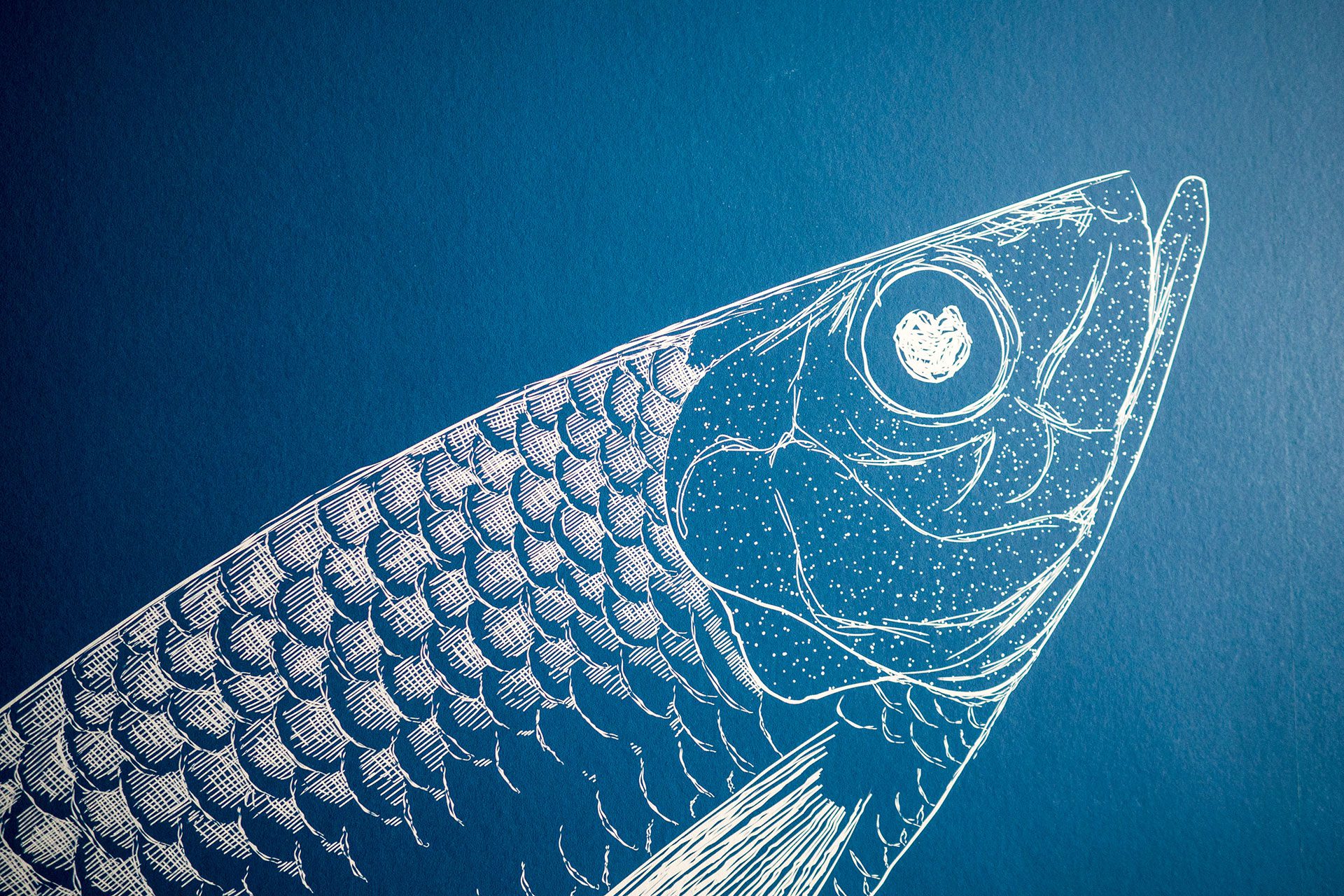 „Moin, moin… liebe Urlauber!“