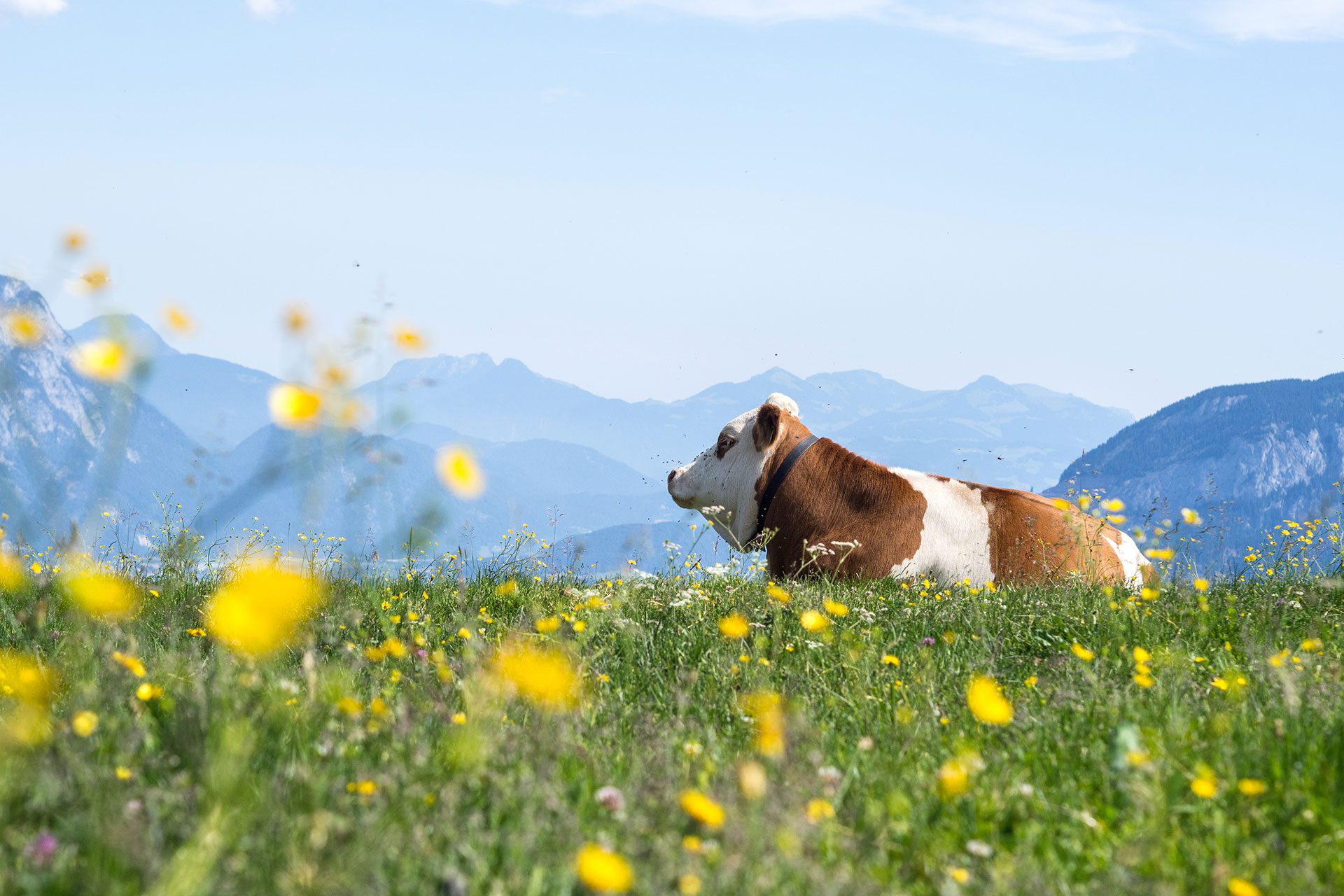 Familienausflug in die Tiroler Alpen – eine Zeitreise