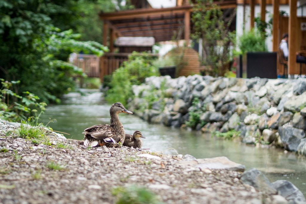 Stopover in der Werdenfelserei