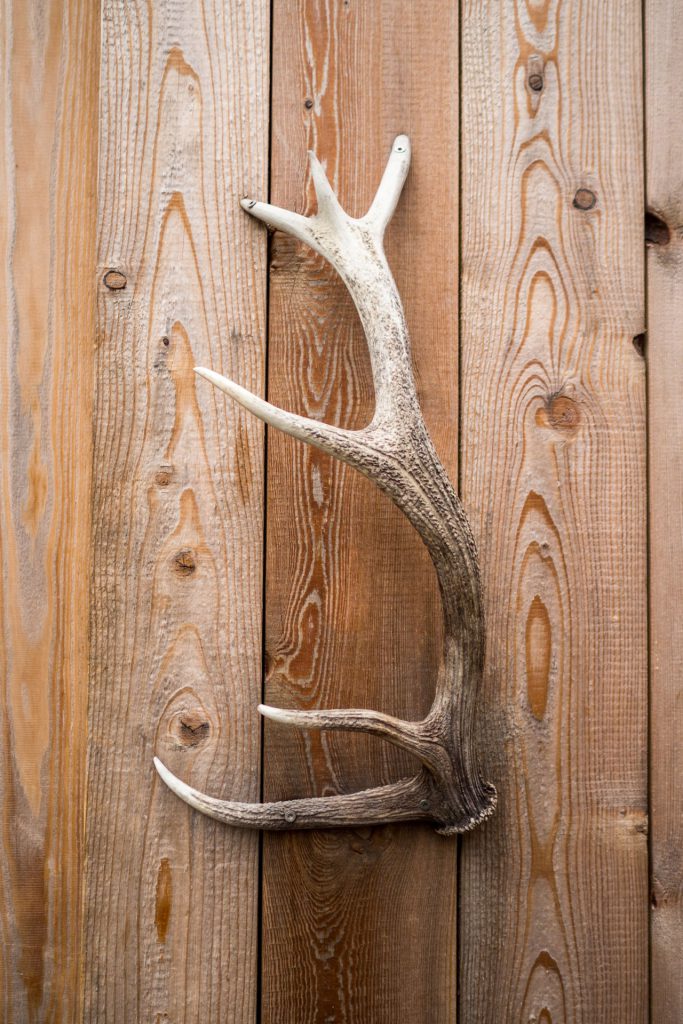 Stopover in der Werdenfelserei