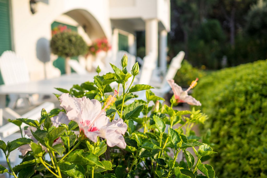 Stadt, Strand, … Portugal! Zu Gast im Victor’s.