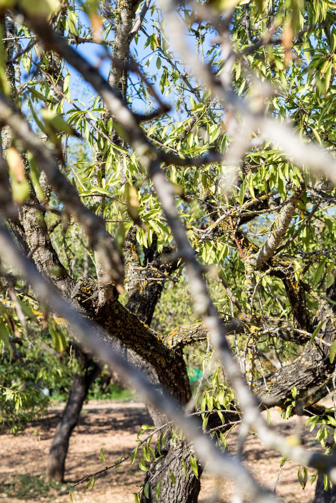 Hike & Bike – mein Kurztrip nach Mallorca