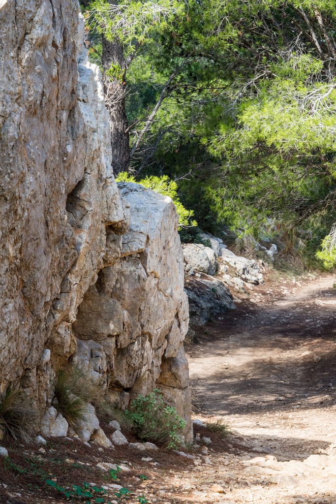 Hike & Bike – mein Kurztrip nach Mallorca