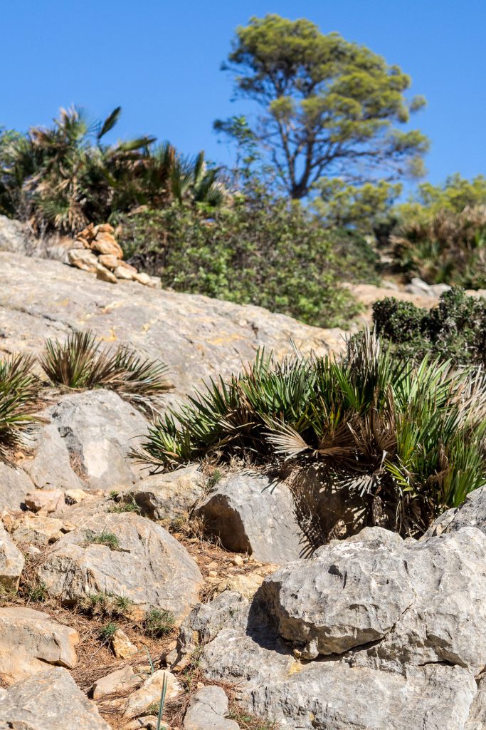 Hike & Bike – mein Kurztrip nach Mallorca