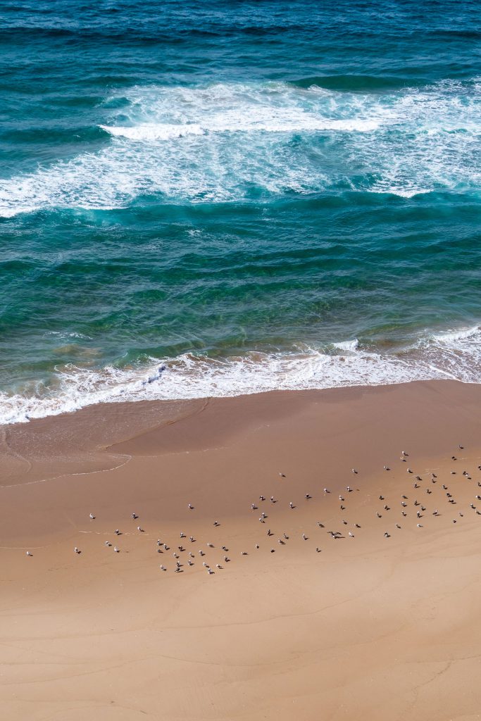 Endless love – unser Sommer in Portugal