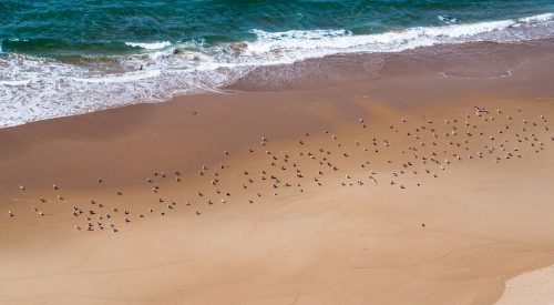 Endless love – unser Sommer in Portugal