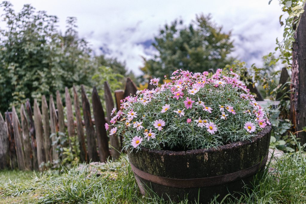 Herbst in den Dolomiten: Sich verlaufen und verlieben