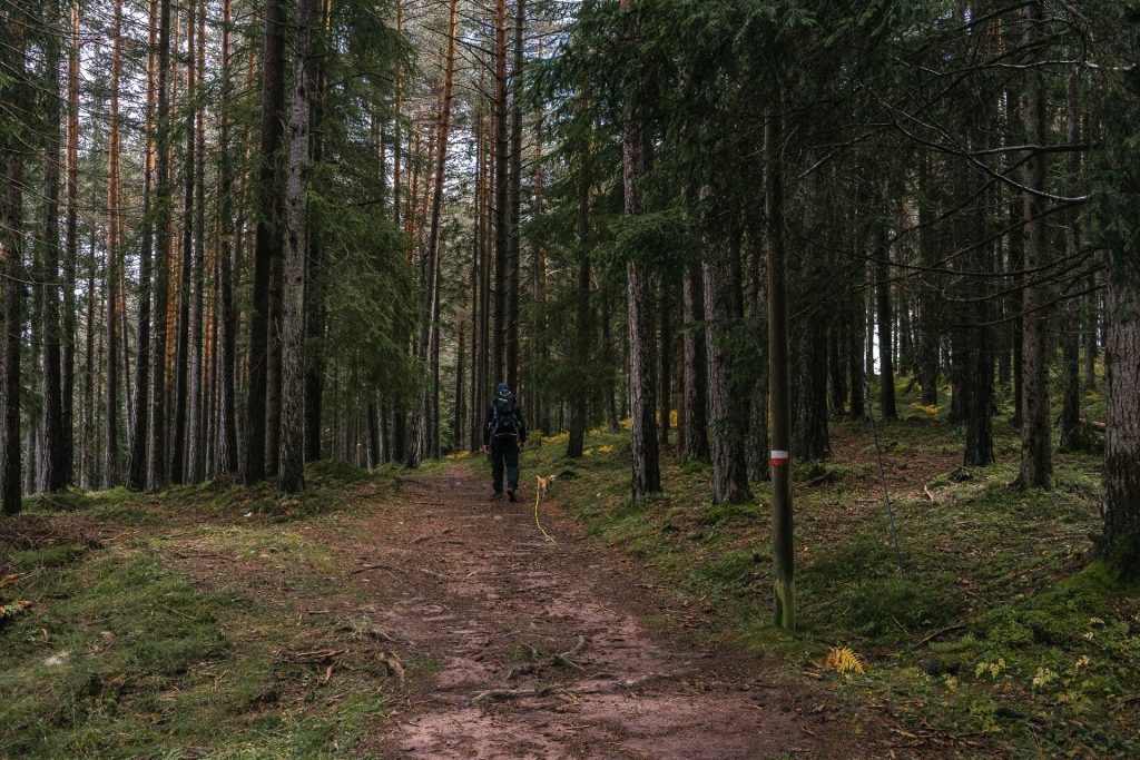 Herbst in den Dolomiten: Sich verlaufen und verlieben