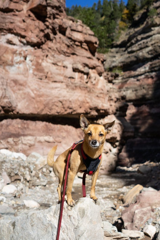 Herbst in den Dolomiten: Sich verlaufen und verlieben