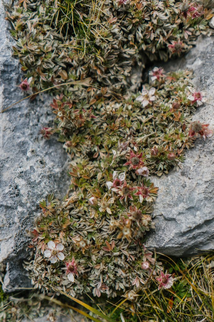Herbst in den Dolomiten: Sich verlaufen und verlieben