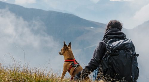 Herbst in den Dolomiten: Sich verlaufen und verlieben