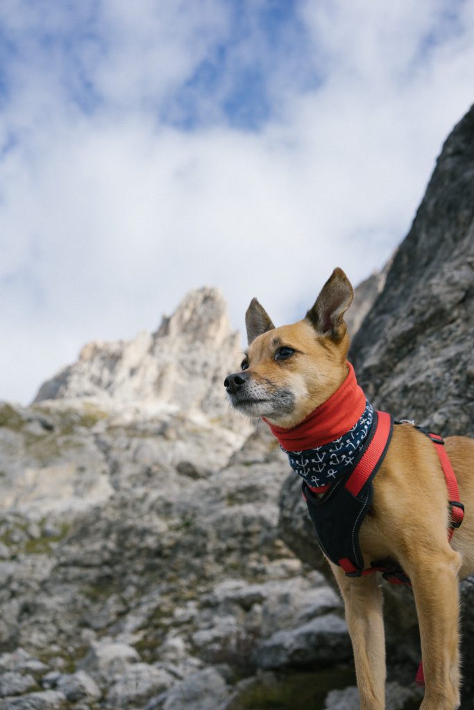 Herbst in den Dolomiten: Sich verlaufen und verlieben