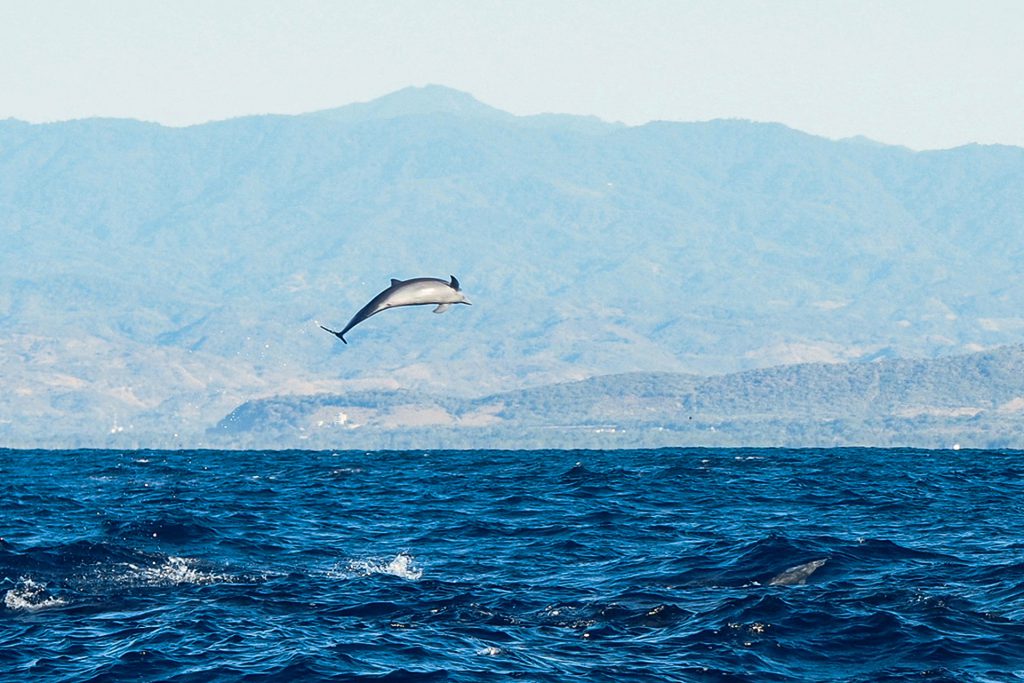 Mexico’s southern heart