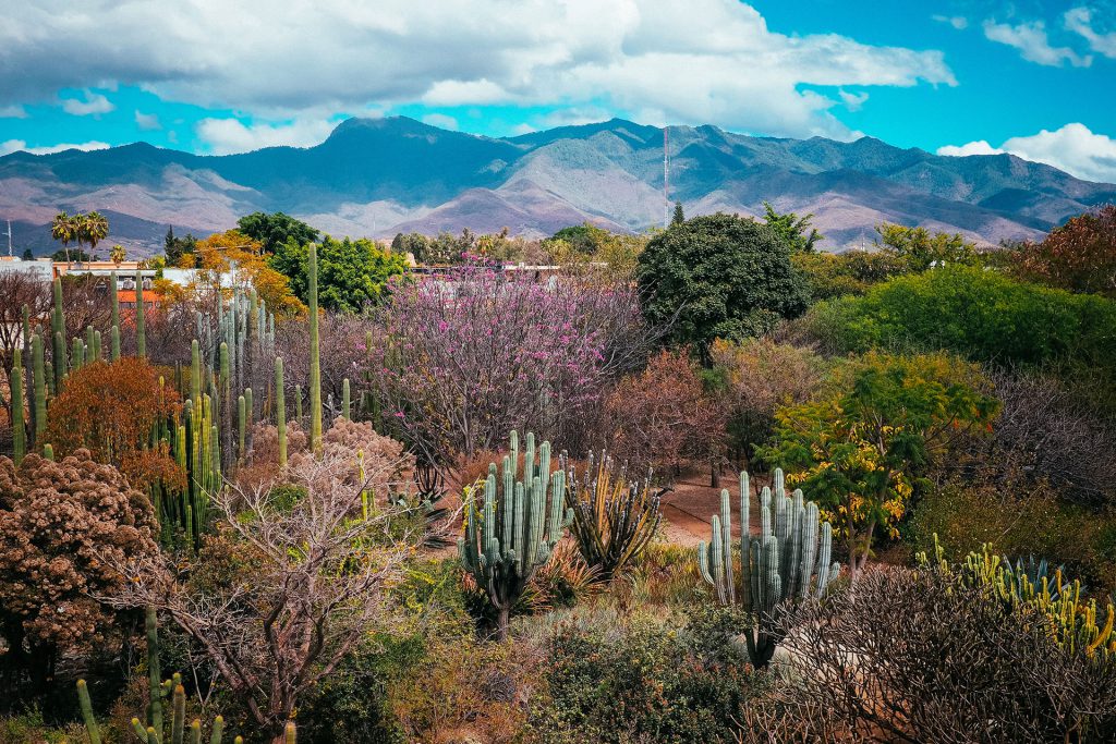Mexico’s southern heart