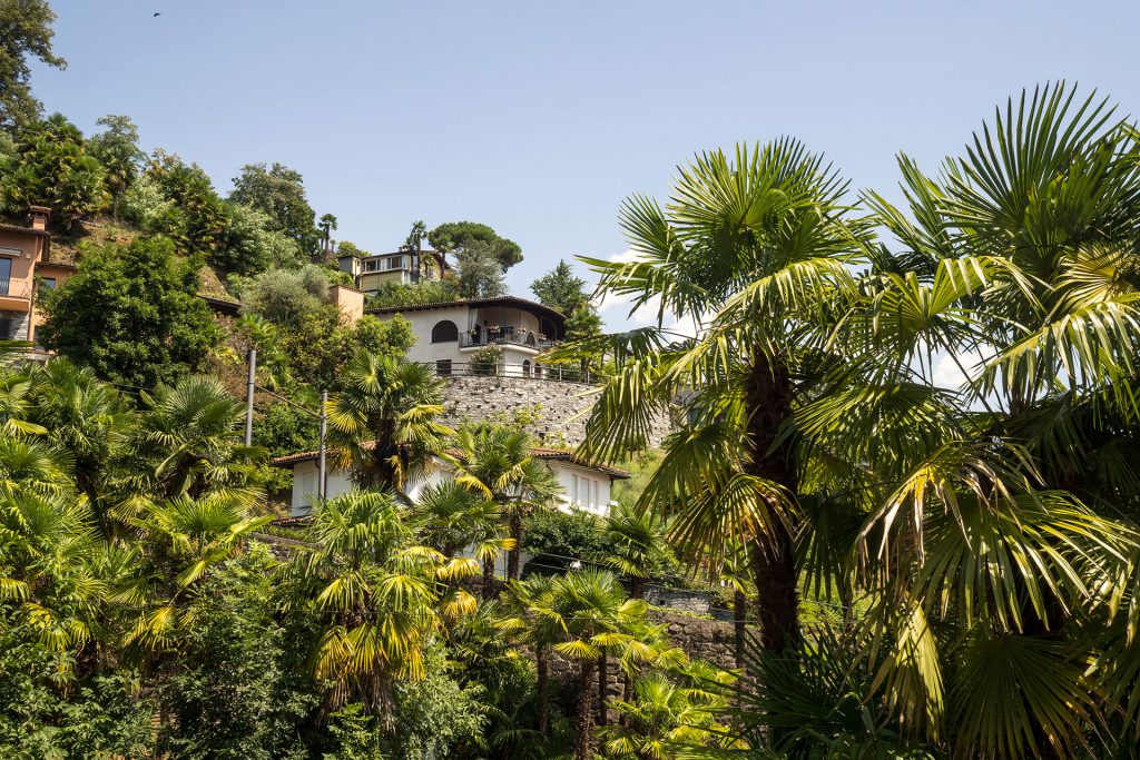 Buongiorno Ticino – unterwegs in der italienischen Schweiz