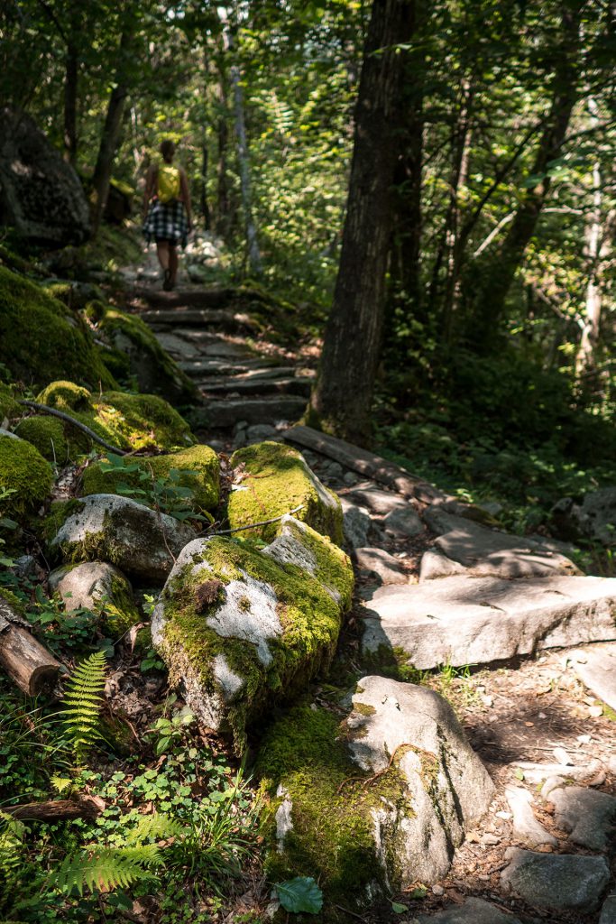 Buongiorno Ticino – unterwegs in der italienischen Schweiz